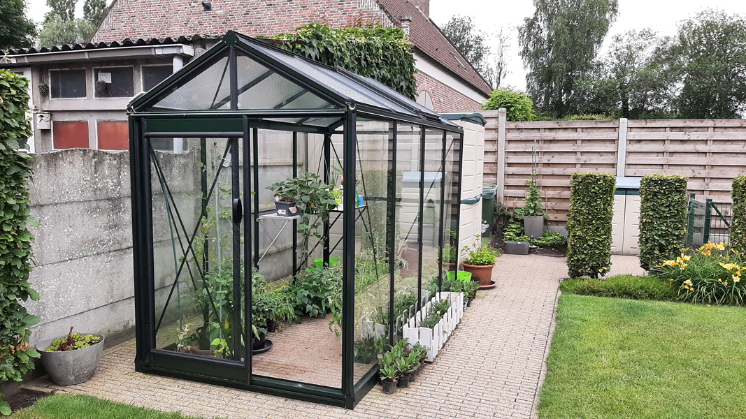 Piccolo Drivhus 4,7 M²