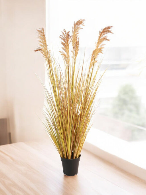 Sorghum - Kunstgræs