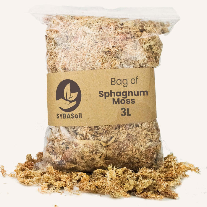 Sphagnum Mos - 3L