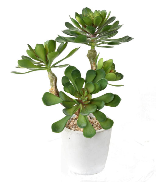 Kunstig Sukkulent I Keramisk Pot 30Cm