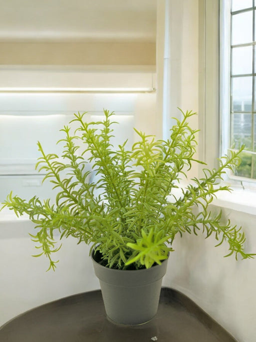 Sukkulent - Kunstig Grøn Plante