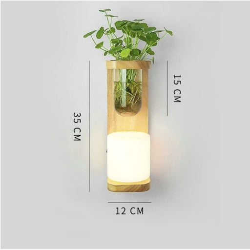 Plante Hængelys