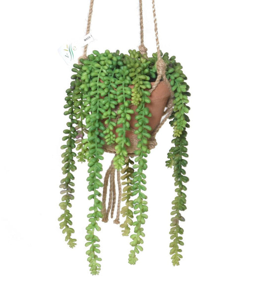 Kunstig Plantehængende Crassula 35 Cm Grøn
