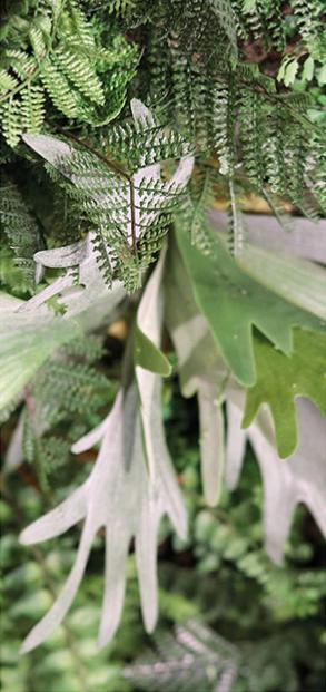 Tropisk Kunstig Plantemaleri Vægdekoration