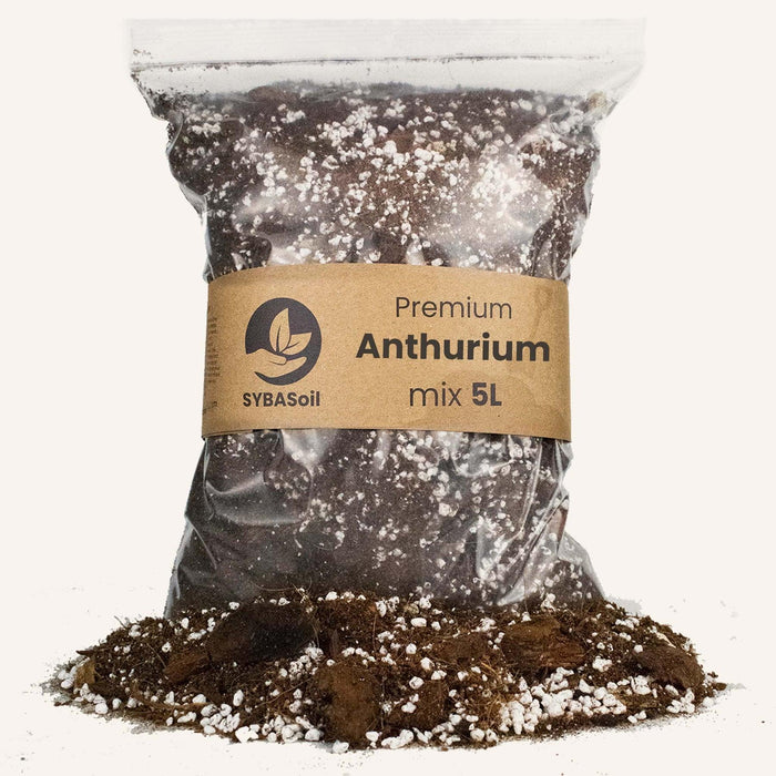 Anthurium Jord - 5L