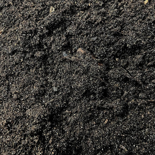 Jord Til Kaktus - 5L