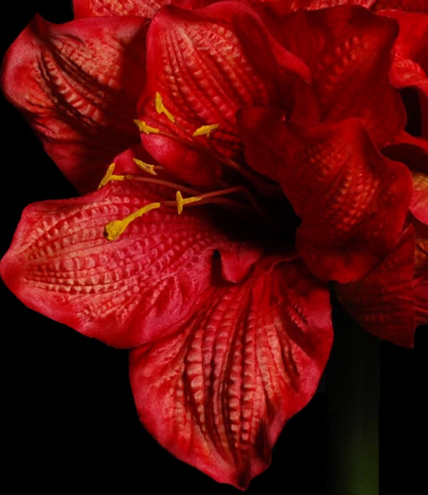 Kunstig Amaryllis Stilk 90Cm Rød Dekoration