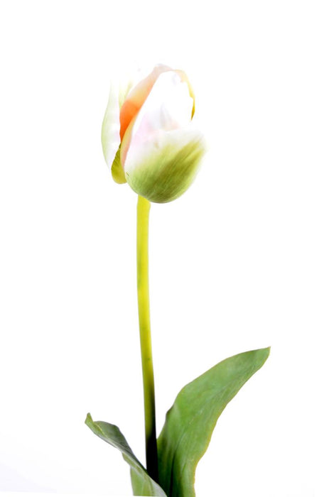 Kunstig Tulipan Indretning 79Cm Grøn