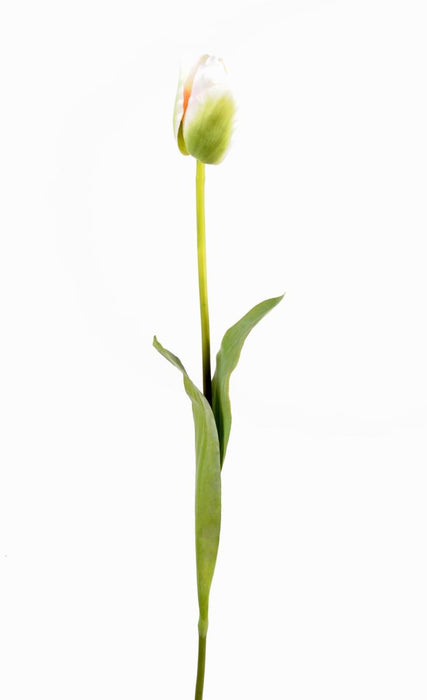 Kunstig Tulipan Indretning 79Cm Grøn