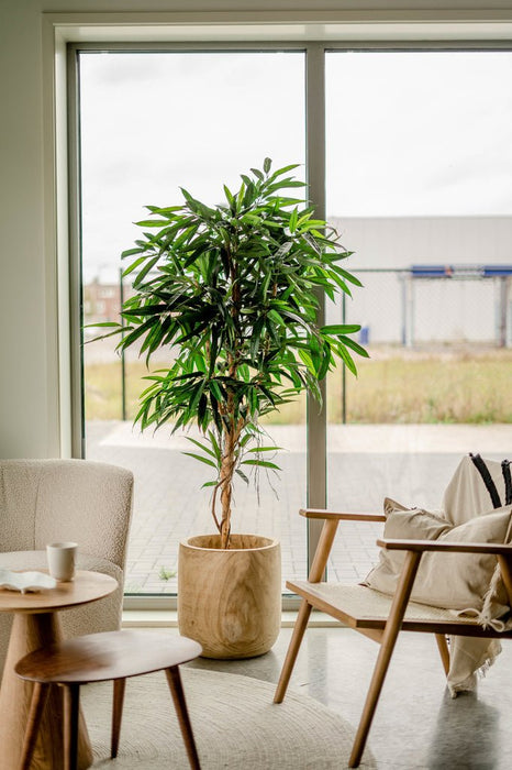 Veronica Longifolia Royale - Kunstigt Træ