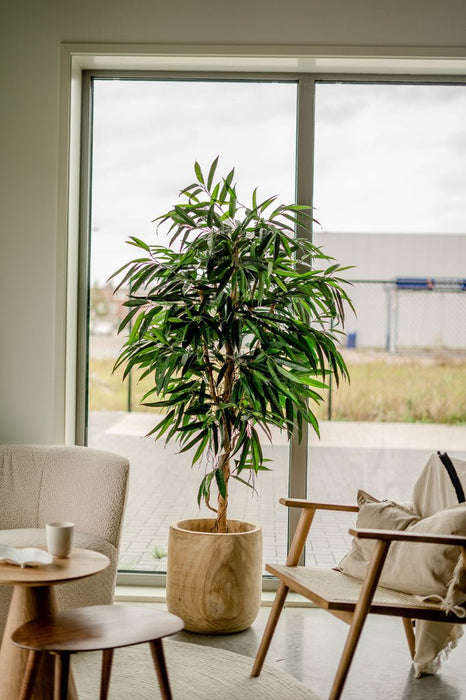 Veronica Longifolia Royale - Kunstigt Træ