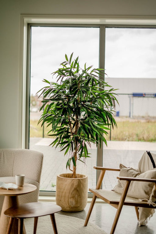 Veronica Longifolia Royale - Kunstigt Træ