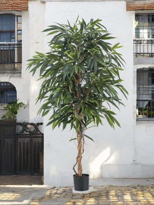 Veronica Longifolia Royale - Kunstigt Træ