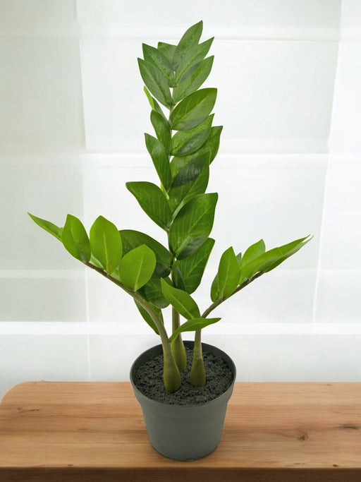 Zamioculcas - Kunstig Grøn Plante