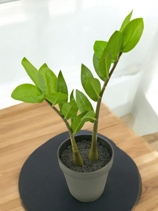 Zamioculcas - Kunstig Grøn Plante