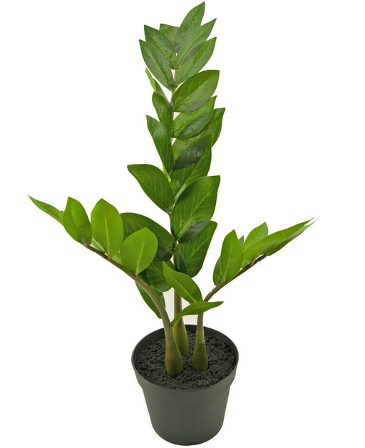 Zamioculcas - Kunstig Grøn Plante