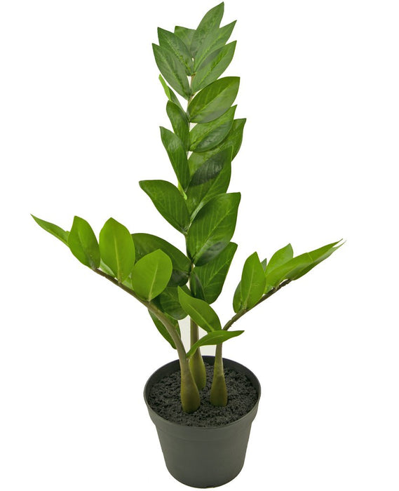 Zamioculcas - Kunstig Grøn Plante