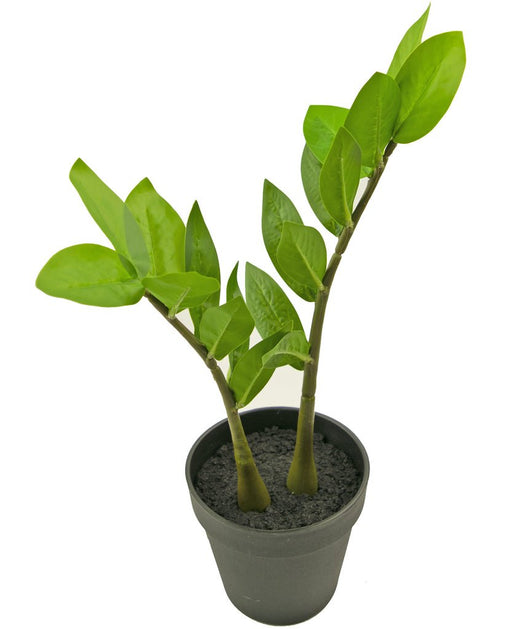 Zamioculcas - Kunstig Grøn Plante
