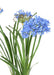 Kunstig Blå Agapanthus 90Cm Indendørs Plante