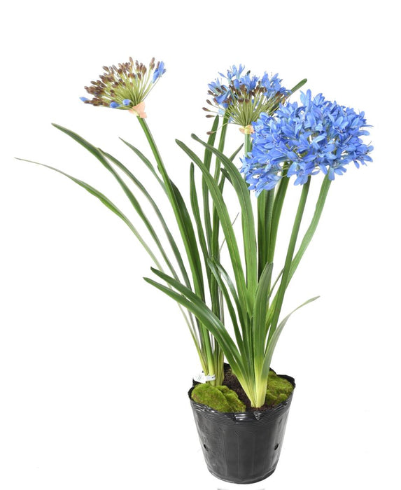 Kunstig Blå Agapanthus 90Cm Indendørs Plante