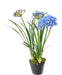 Kunstig Blå Agapanthus 90Cm Indendørs Plante