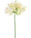 Hvid Kunstig Agapanthus