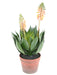 Kunstig Blomstrende Agave I Potte 50Cm Grøn