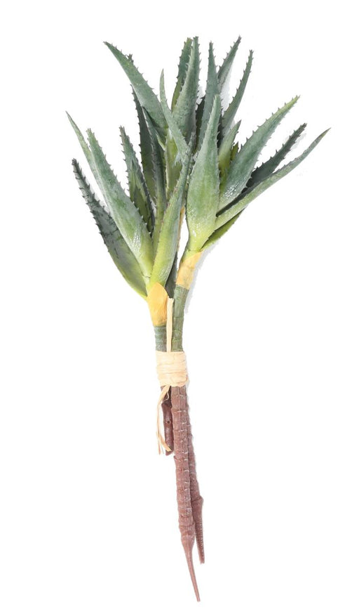 Kunstig Aloe On Stake Sæt Med 3 H35Cm Grøn