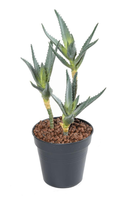 Kunstig Aloe On Stake Sæt Med 3 H35Cm Grøn