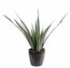 Kunstig Aloe Ferox I Pot Til Udendørs 65 Cm
