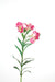 Kunstig Alstroemeria Pink 60 Cm Dekorativ Blomst