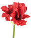 Kunstig Amaryllis Rød 2 Blomster 1 Knop 66 Cm