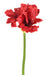 Kunstig Amaryllis Rød 2 Blomster 1 Knop 66 Cm
