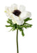 Hvid Kunstig Anemone H.35Cm Til Indretning