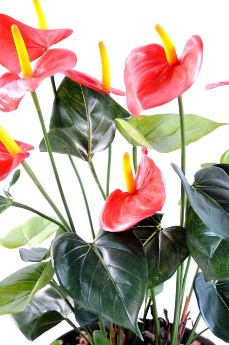 Kunstig Anthurium I Rød Potte Interiør Dekoration 50Cm