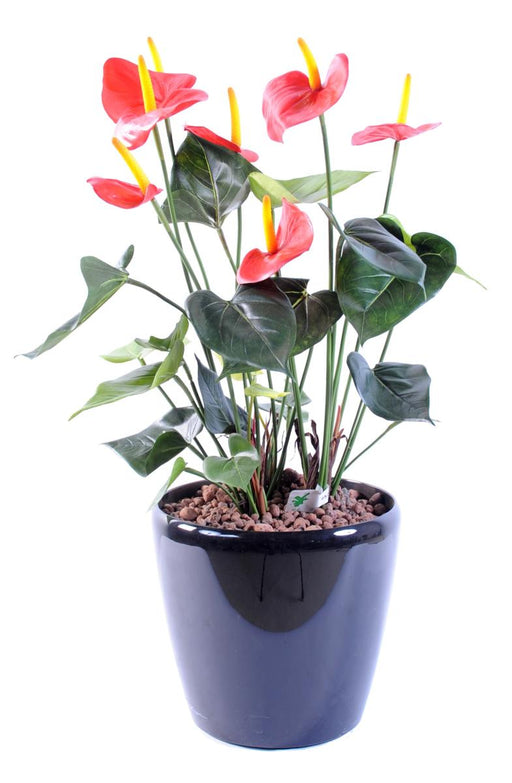 Kunstig Anthurium I Rød Potte Interiør Dekoration 50Cm