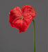 Kunstig Anthurium Rød Stilk 66 Cm Blomsterdekoration