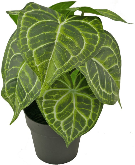 Anthurium - Kunstig Grøn Plante