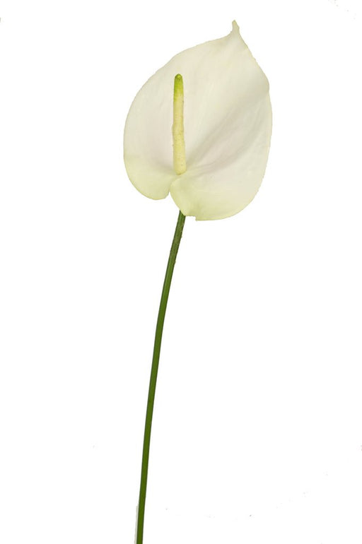 Hvid Kunstig Anthurium