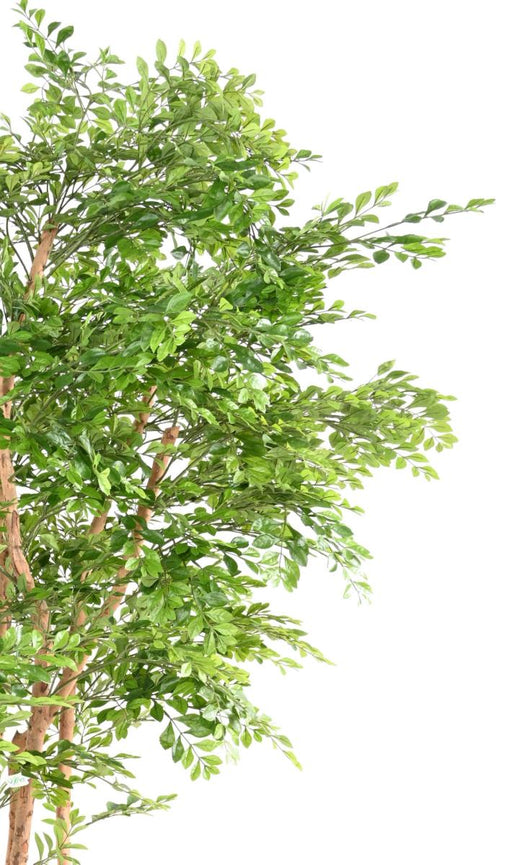 Kunstigt Akacietræ 5 Stammer Høj 210 Cm Grøn