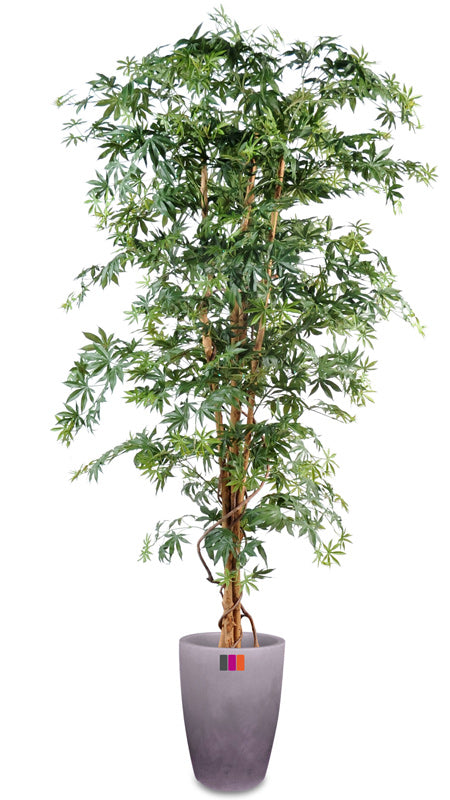 Kunstigt Aralia Træ 180 Cm Grøn Indendørs Plante