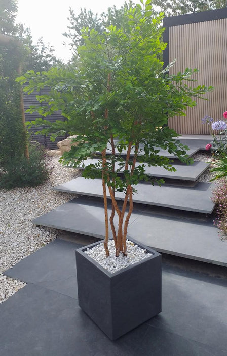 Kunstigt Akacietræ 5 Stammer Indendørs 150Cm