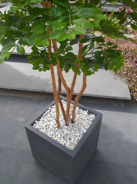 Kunstigt Akacietræ 5 Stammer Indendørs 150Cm