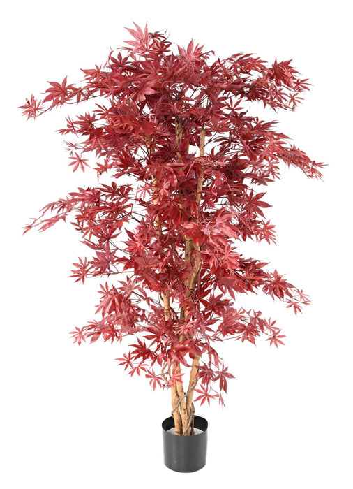 Aralia Rødt Kunstigt Træ H.160Cm Til Indendørs
