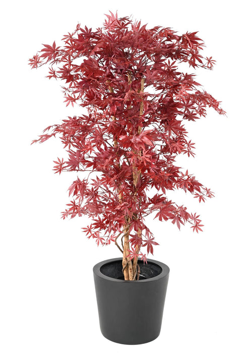 Aralia Rødt Kunstigt Træ H.160Cm Til Indendørs