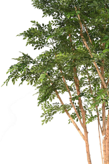Bucida Kunstigt Træ 330 Cm Indvendig Dekoration