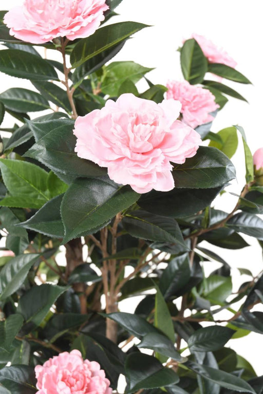 Kunstig Camellia Japonica Træ 12 Blomster 160 Cm