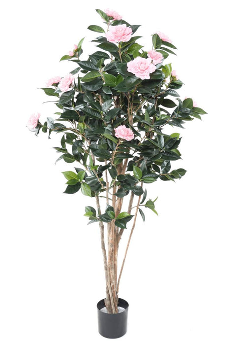 Kunstig Camellia Japonica Træ 12 Blomster 160 Cm