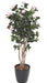Kunstig Camellia Japonica Træ 12 Blomster 160 Cm