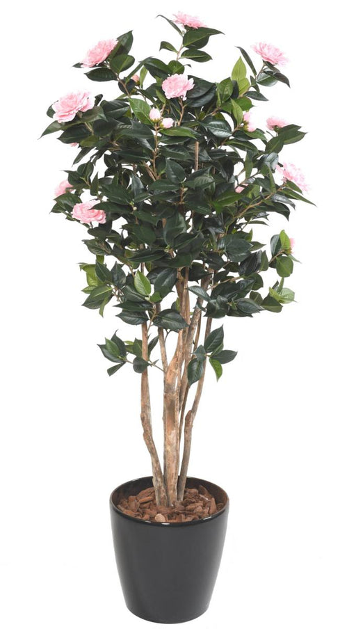 Kunstig Camellia Japonica Træ 12 Blomster 160 Cm